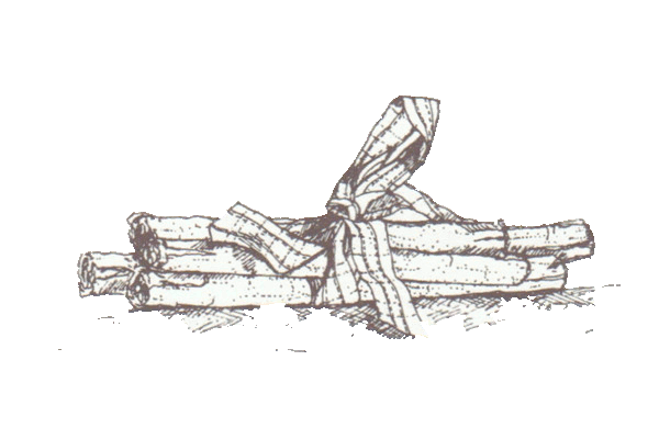Drawing of cinnamon sticks from page 59 of the Lunch Book