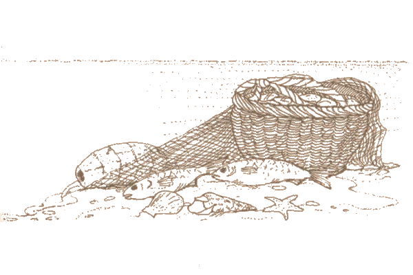 Drawing of fishing nets from page 69 of the Supper Book