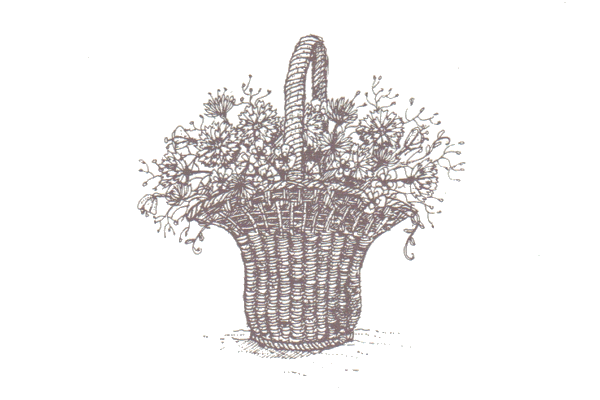 Drawing of a flower basket from page 60 of the Lunch Book